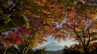 秋の河口湖